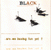 Black Are+We+Having+Fun+Yet? CD