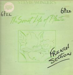 Thumbnail - WONDER,Stevie