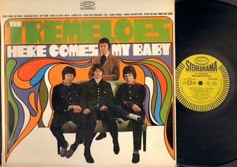 Tremeloes - Here Comes My Baby Record