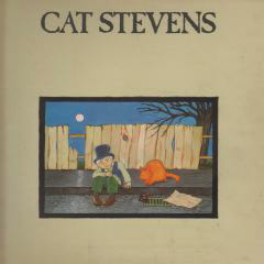 Thumbnail - STEVENS,Cat