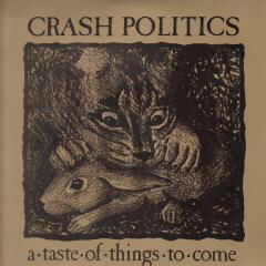 Thumbnail - CRASH POLITICS