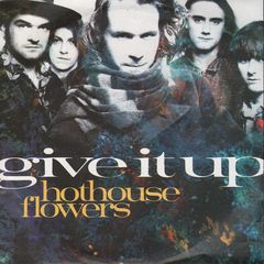 Thumbnail - HOTHOUSE FLOWERS