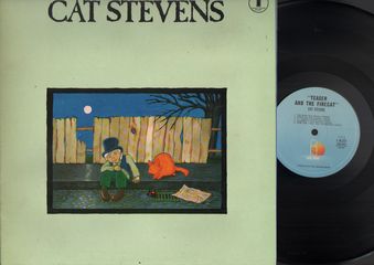 Thumbnail - STEVENS,Cat