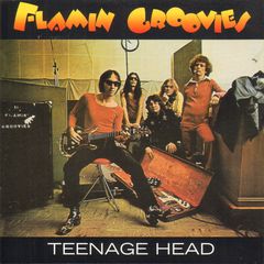 Thumbnail - FLAMIN' GROOVIES