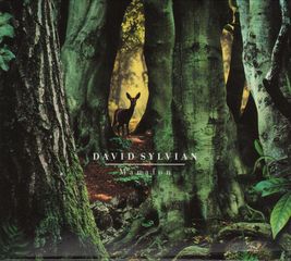 Thumbnail - SYLVIAN,David