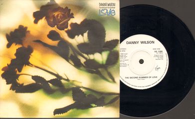 Thumbnail - DANNY WILSON