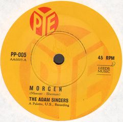 Thumbnail - ADAM SINGERS