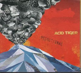 Thumbnail - ACID TIGER