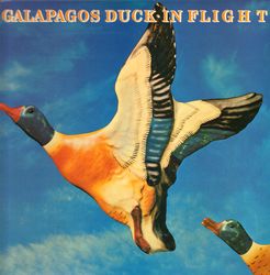 Thumbnail - GALAPAGOS DUCK