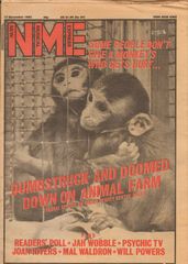 Thumbnail - NME