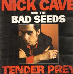 Thumbnail - CAVE,Nick,& The Bad Seeds