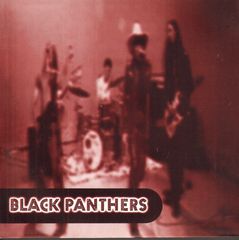 Thumbnail - BLACK PANTHERS