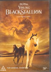 Thumbnail - YOUNG BLACK STALLION