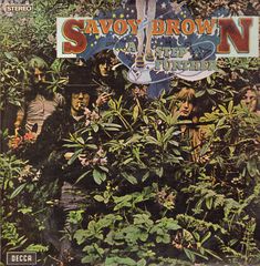 Thumbnail - SAVOY BROWN