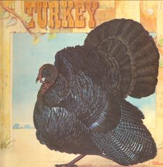Thumbnail - WILD TURKEY