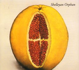 Thumbnail - SHELLEYAN ORPHAN