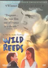 Thumbnail - WILD REEDS