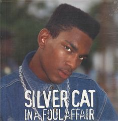 Thumbnail - SILVER CAT