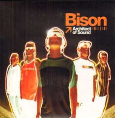 Thumbnail - BISON