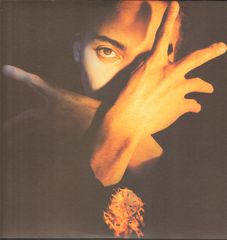 Thumbnail - D'ARBY,Terence Trent