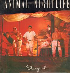 Thumbnail - ANIMAL NIGHTLIFE