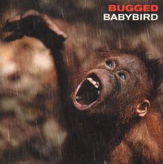 Thumbnail - BABYBIRD