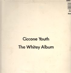 Thumbnail - CICCONE YOUTH