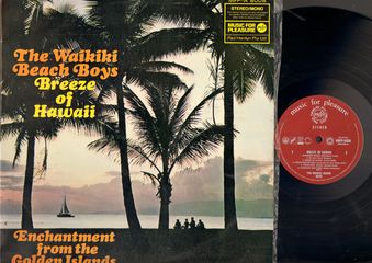 Thumbnail - WAIKIKI BEACH BOYS