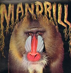 Thumbnail - MANDRILL