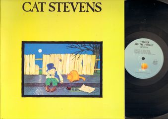 Thumbnail - STEVENS,Cat