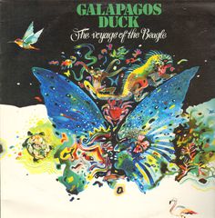 Thumbnail - GALAPAGOS DUCK