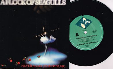 Thumbnail - A FLOCK OF SEAGULLS