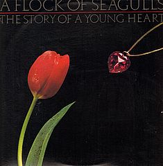 Thumbnail - A FLOCK OF SEAGULLS