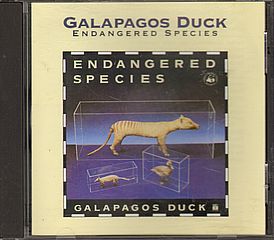 Thumbnail - GALAPAGOS DUCK