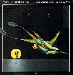 Thumbnail - HUMMINGBIRD