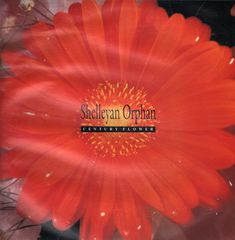 Thumbnail - SHELLEYAN ORPHAN