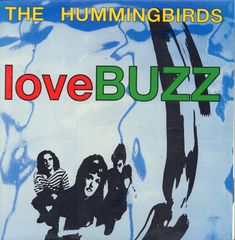 Thumbnail - HUMMINGBIRDS