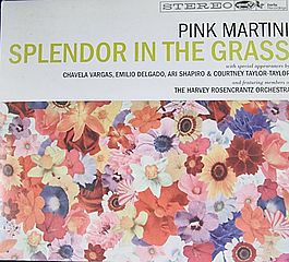 Thumbnail - PINK MARTINI