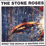 Thumbnail - STONE ROSES