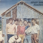 Thumbnail - SPLIT ENZ