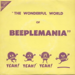 Thumbnail - BEEPLEMANIA