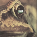 Thumbnail - TOAD